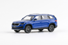 koda KODIAQ FL(2021)EnergyBlu