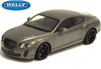 25/24S18 BENTLEY ContSupSp*Sil