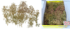 Natur-stromy * 15-30ks