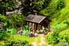 Scenery Set * Lesn� chata
