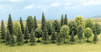 18xIhlin_3-6cm*12xListna4-5cm