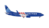 B737-800 * United America 250